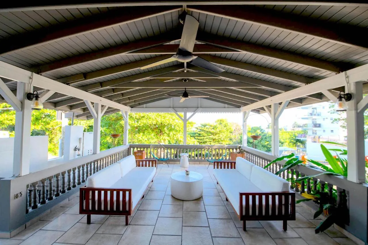 Lazy Parrot Inn Rincon Puerto Rico